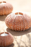 Light & Living Accessories Tealight holder 15x8 cm SEA URCHIN red House of Isabella UK