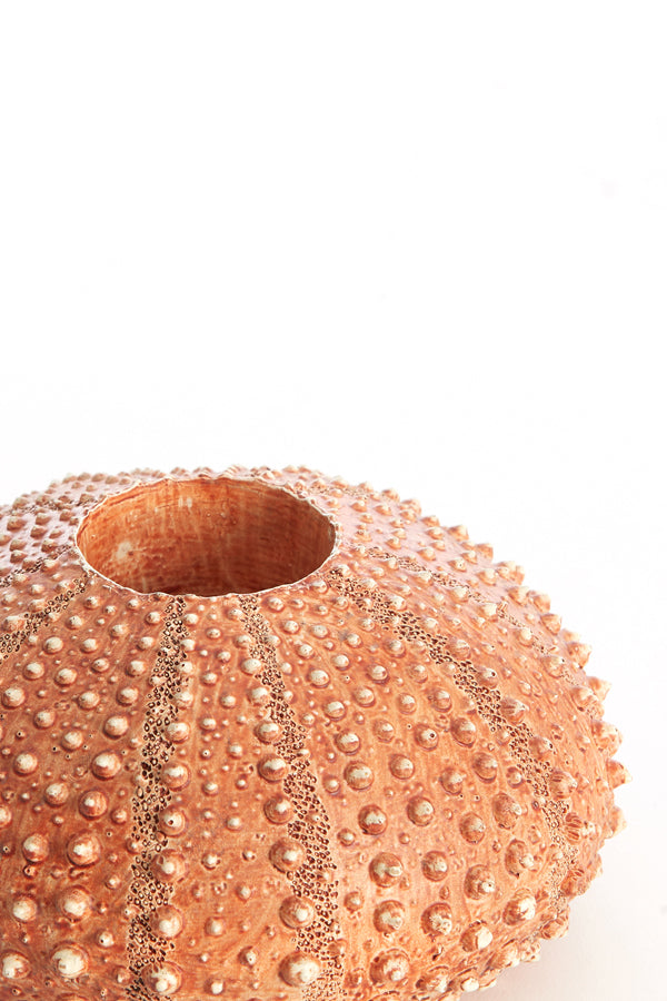Light & Living Accessories Tealight holder 15x8 cm SEA URCHIN red House of Isabella UK