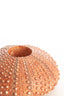 Light & Living Accessories Tealight holder 15x8 cm SEA URCHIN red House of Isabella UK
