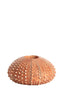 Light & Living Accessories Tealight holder 15x8 cm SEA URCHIN red House of Isabella UK