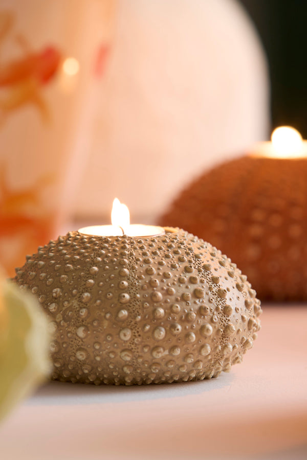 Light & Living Accessories Tealight holder 15x8 cm SEA URCHIN sand House of Isabella UK