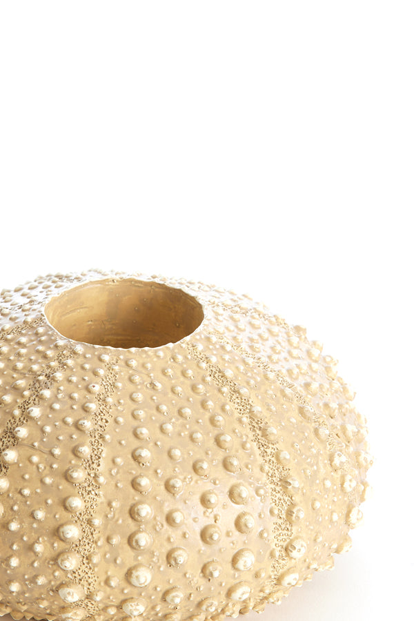 Light & Living Accessories Tealight holder 15x8 cm SEA URCHIN sand House of Isabella UK