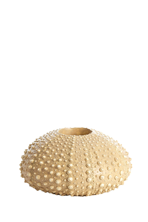 Light & Living Accessories Tealight holder 15x8 cm SEA URCHIN sand House of Isabella UK