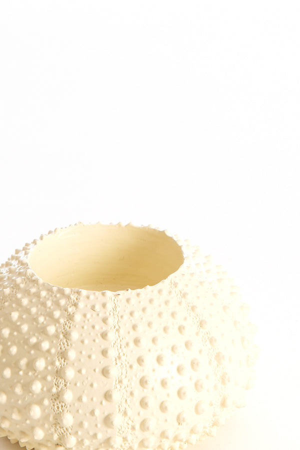 Light & Living Accessories Tealight holder 9x6 cm SEA URCHIN cream House of Isabella UK