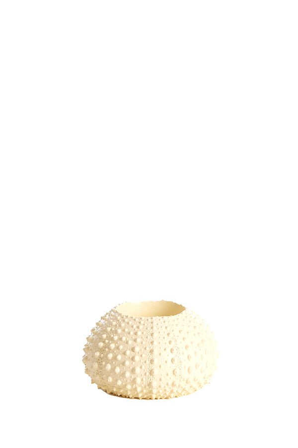 Light & Living Accessories Tealight holder 9x6 cm SEA URCHIN cream House of Isabella UK