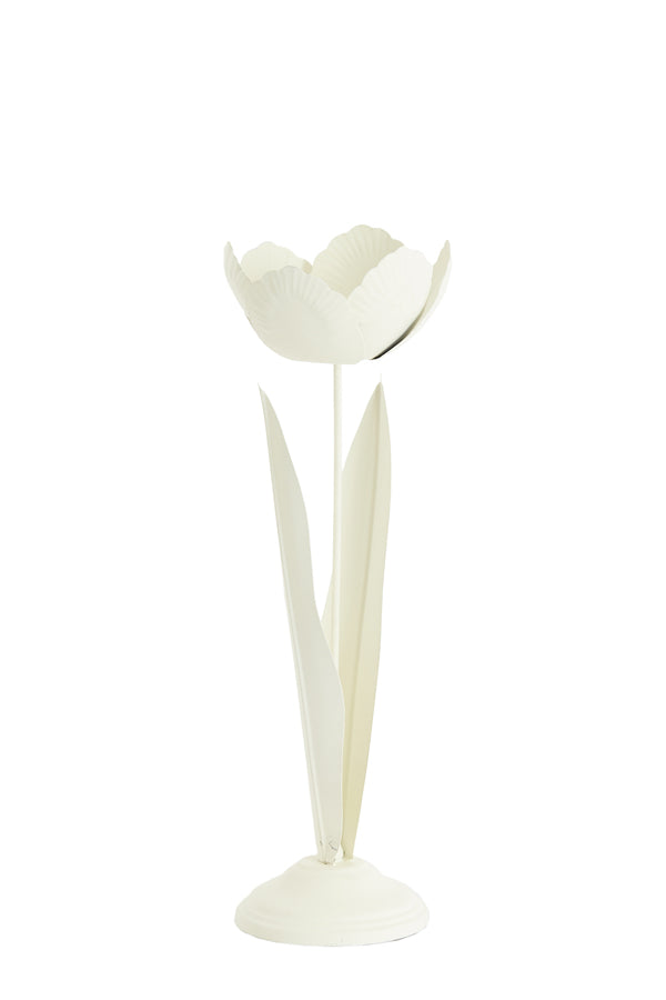 Light & Living Accessories Tealight on base 12x35 cm ALFORI cream House of Isabella UK