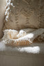 Light & Living Accessories Throw 170x130 cm MIRASO natural House of Isabella UK