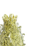 Light & Living Accessories Vase 14x21,5 cm DESMIRA glass green-grey House of Isabella UK