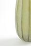 Light & Living Accessories Vase 17,5x44,5 cm BRADLEY glass olive green House of Isabella UK