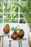 Light & Living Accessories Vase 18,5x27 cm ZENIA glass dark brown House of Isabella UK