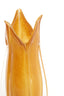 Light & Living Accessories Vase 18,5x39 cm EVINA glass caramel House of Isabella UK