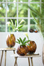 Light & Living Accessories Vase 18x21,5 cm ZENIA glass dark brown House of Isabella UK