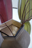 Light & Living Accessories Vase 28x25,5x40 cm VELIKO glass dark brown House of Isabella UK