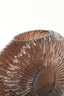 Light & Living Accessories Vase 40,5x11x30,5 cm CONCHA glass dark brown House of Isabella UK
