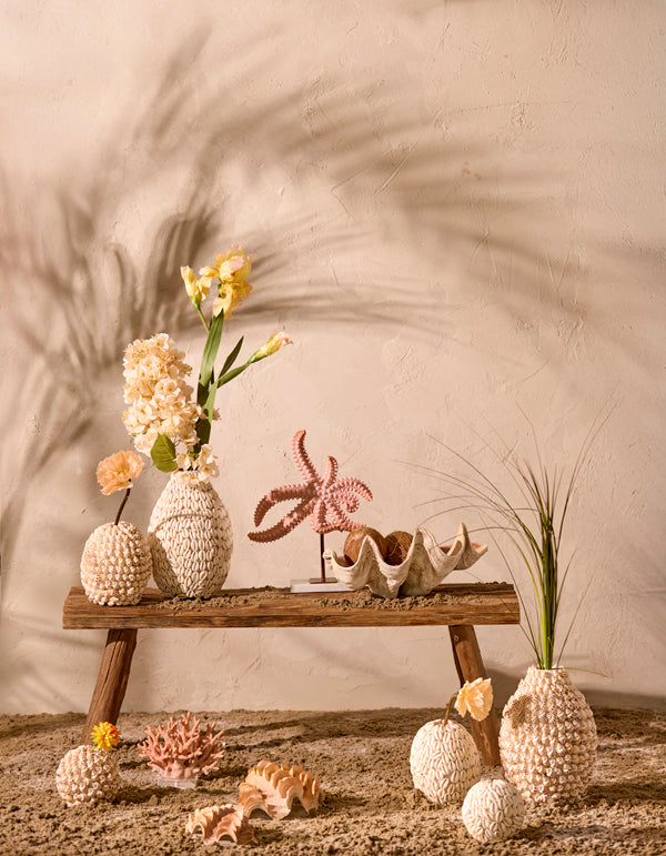 Light & Living Accessories Vase deco 13x12 cm SHELL cream+brown House of Isabella UK