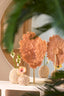 Light & Living Accessories Vase deco 13x12 cm SHELL cream+brown House of Isabella UK