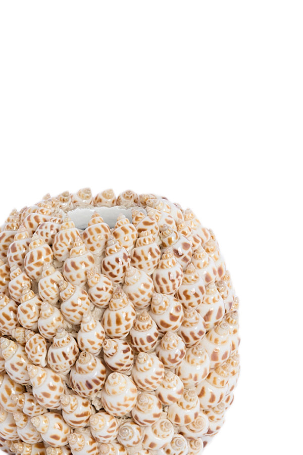 Light & Living Accessories Vase deco 13x12 cm SHELL cream+brown House of Isabella UK