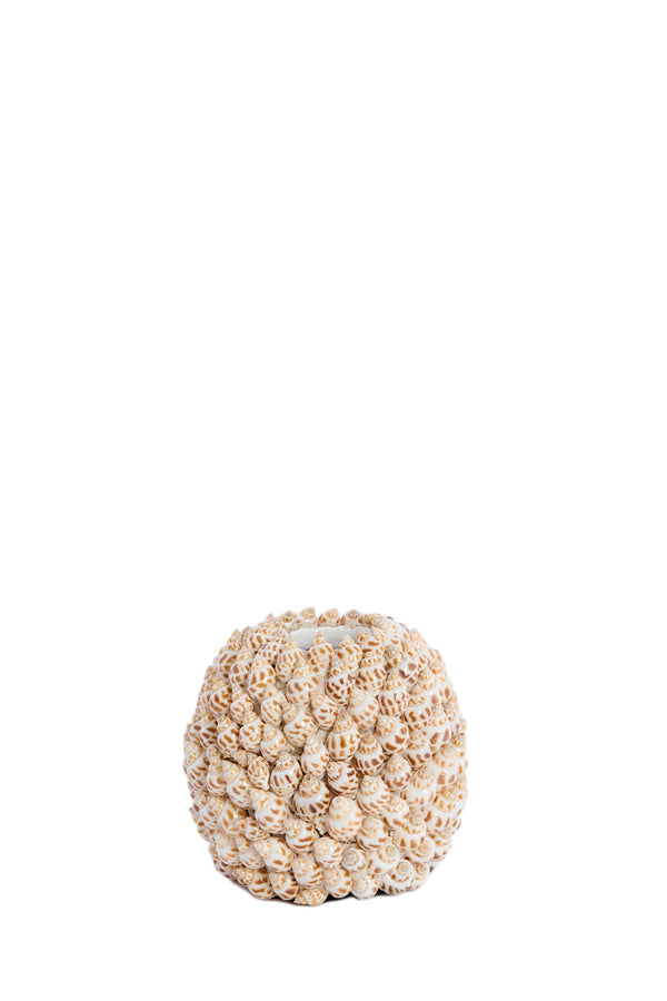 Light & Living Accessories Vase deco 13x12 cm SHELL cream+brown House of Isabella UK