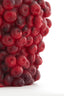 Light & Living Accessories Vase deco 14x16,5 cm BERRIES burgundy House of Isabella UK