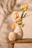 Light & Living Accessories Vase deco 15,5x17,5 cm SHELL cream+brown House of Isabella UK