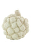 Light & Living Accessories Vase deco 16x16,5 cm PANTHUS ceramics cream House of Isabella UK
