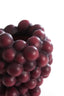 Light & Living Accessories Vase deco 17x16x20,5 cm GRAPES burgundy House of Isabella UK