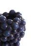 Light & Living Accessories Vase deco 17x16x20,5 cm GRAPES dark blue-purple House of Isabella UK