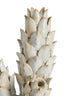 Light & Living Accessories Vase deco 19,5x17x27,5 cm CARCIOFO ceramics cream+beige House of Isabella UK