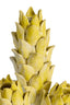 Light & Living Accessories Vase deco 19,5x17x27,5 cm CARCIOFO ceramics yellow+cream House of Isabella UK
