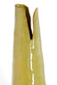 Light & Living Accessories Vase deco 19x18,5x77,5 cm MESA ceramics olive green-brown House of Isabella UK