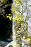 Light & Living Accessories Vase deco 19x32,5 cm SEA URCHIN green+dark green House of Isabella UK