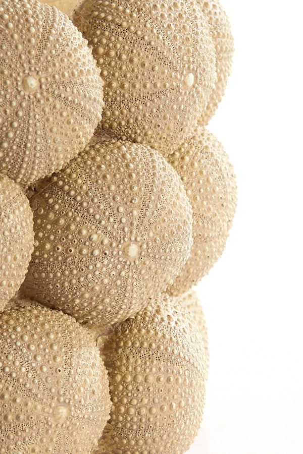 Light & Living Accessories Vase deco 19x32,5 cm SEA URCHIN sand House of Isabella UK