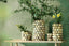 Light & Living Accessories Vase deco 20,5x18 cm SEA URCHIN green+dark green House of Isabella UK