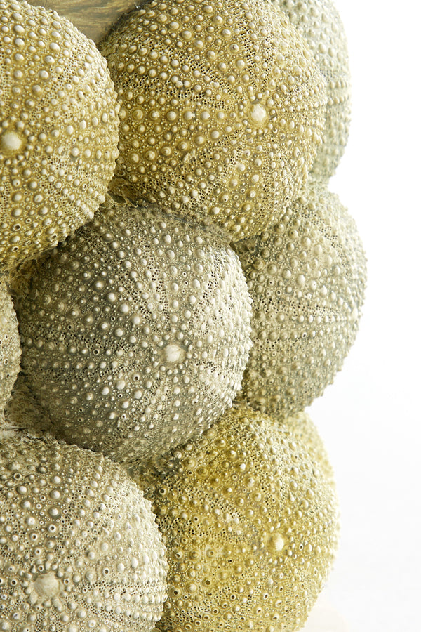 Light & Living Accessories Vase deco 20,5x18 cm SEA URCHIN green+dark green House of Isabella UK