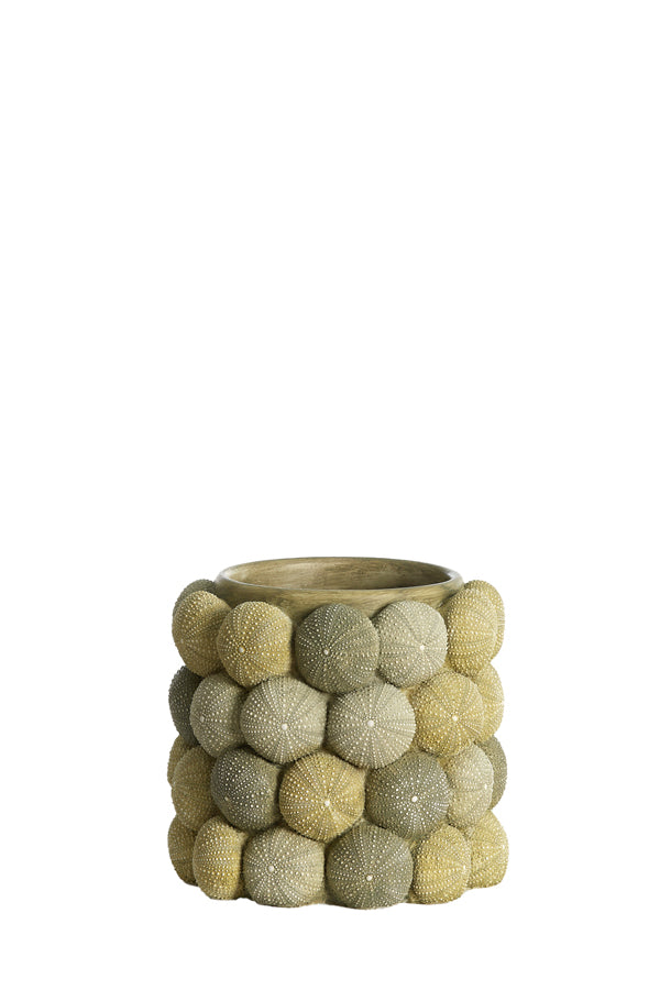 Light & Living Accessories Vase deco 20,5x18 cm SEA URCHIN green+dark green House of Isabella UK