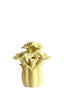 Light & Living Accessories Vase deco 21,5x23,5 cm SAMPAGA ceramics yellow-green House of Isabella UK