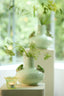 Light & Living Accessories Vase deco 21x20,5 cm FROG ceramics mint green+green House of Isabella UK