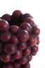 Light & Living Accessories Vase deco 21x20x25,5 cm GRAPES burgundy House of Isabella UK