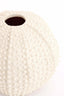 Light & Living Accessories Vase deco 22x18,5 cm SEA URCHIN cream House of Isabella UK