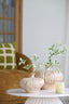 Light & Living Accessories Vase deco 23x22,5x18 cm NEVANO cream+orange-brown House of Isabella UK