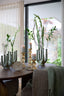Light & Living Accessories Vase deco 24x18x36 cm LEONJO ceramics oil light green House of Isabella UK