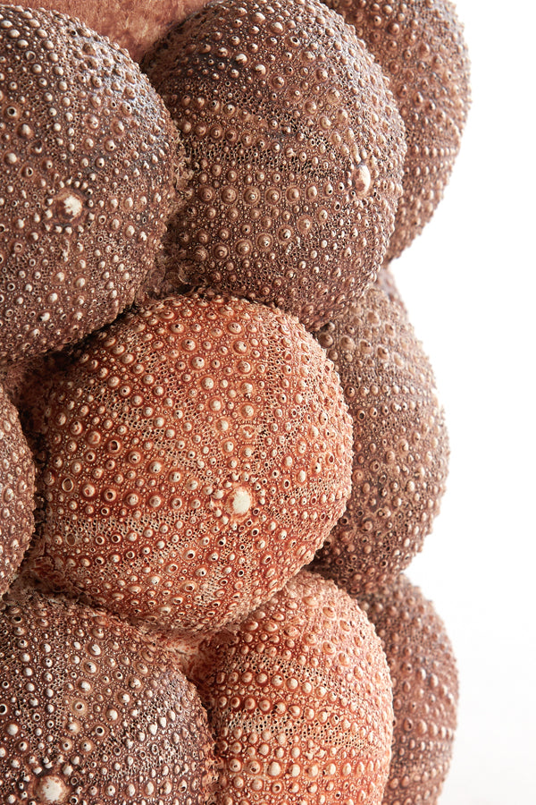 Light & Living Accessories Vase deco 25x40 cm SEA URCHIN coral red+burgundy House of Isabella UK