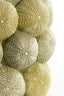 Light & Living Accessories Vase deco 25x40 cm SEA URCHIN green+dark green House of Isabella UK