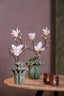 Light & Living Accessories Vase deco 26,5x28 cm SAMPAGA ceramics blue-green House of Isabella UK