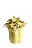 Light & Living Accessories Vase deco 26,5x28 cm SAMPAGA ceramics yellow-green House of Isabella UK
