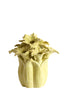 Light & Living Accessories Vase deco 26,5x28 cm SAMPAGA ceramics yellow-green House of Isabella UK