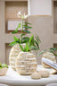 Light & Living Accessories Vase deco 26x27 cm SARRIA bamboo+shell cream House of Isabella UK