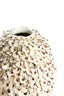 Light & Living Accessories Vase deco 26x27 cm UBATE bamboo+shell cream+brown House of Isabella UK