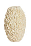 Light & Living Accessories Vase deco 26x39,5 cm AGELLO cream House of Isabella UK