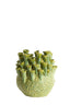 Light & Living Accessories Vase deco 27,5x27,5 cm KYRAL ceramics mint green House of Isabella UK